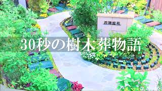 【京都市】アンカレッジの樹木葬_善行院_西陣庭苑 紹介動画