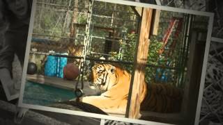 Kowiachobee Animal Preserve Naples