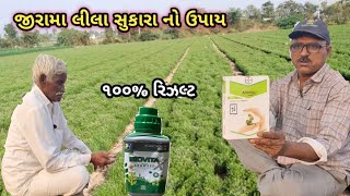 Aliette જીરા માં લીલા અને પીળા સુકારા માટે!! બાયર કંપની નું એલિયટ અને biovita ગ્રોથ માટે