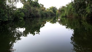 Hariyali Gir che Rudi | હરિયાળી ગીર છે રૂડી | The Nature of Gir | @girbhomiyo