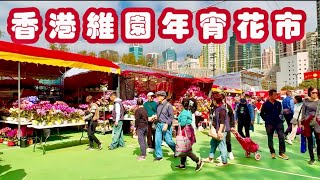 逛逛2025維園年宵花市，香港年貨大市場，賞花、買花、採購年貨、品嘗美食/Hong Kong's New Year's Culture