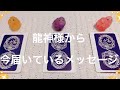 【見た時がタイミング】龍神さまから、今あなたに届いているメッセージ＆飛躍すること🐉✨