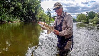 Trotting the Wye for chub and barbel