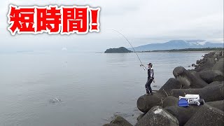 【紀州釣り】短時間の紀州釣りで黒鯛釣れるの？【黒鯛釣り】【釣武者】