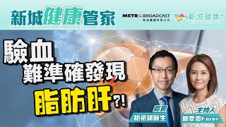 【新城健康管家】驗血難準確發現脂肪肝！全港過半人口體重過重？2023-07-21  鄭萃雯 糖尿及內分泌專科 胡依諾醫生