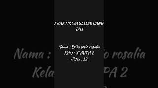 PRAKTIKUM GELOMBANG TALI