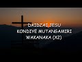 TERRENCE ZVANDASARA -- DAIDZAI JESU (LYRIC VIDEO)