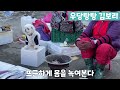 오천시장으로 출근하는 강아지 vlog 2편💙