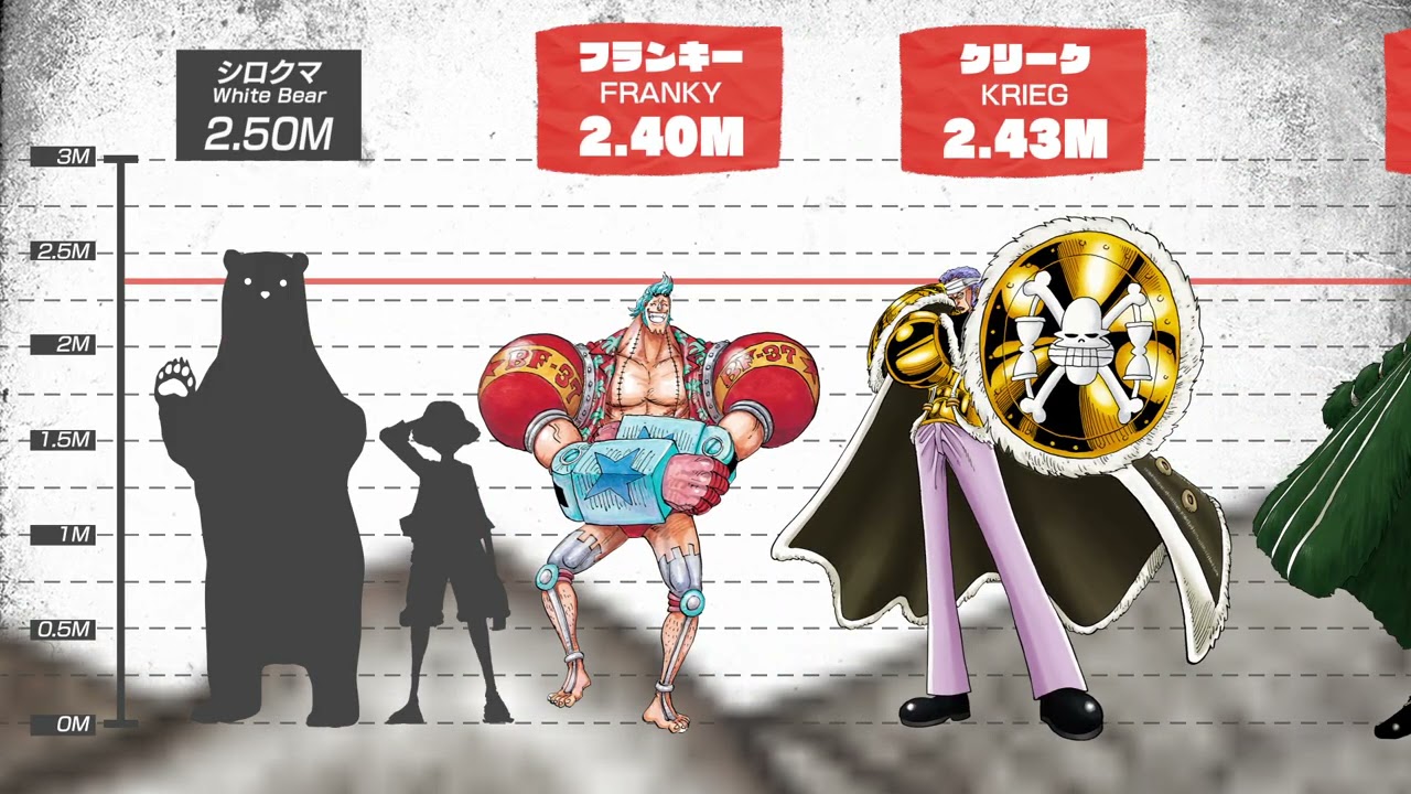 Size Comparison Of One Piece Characters From The Official 49 Off Size Comparison Of One Piece Characters From The Official 49 Off