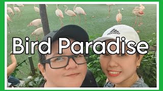 What to see inside Bird Paradise Singapore 2024