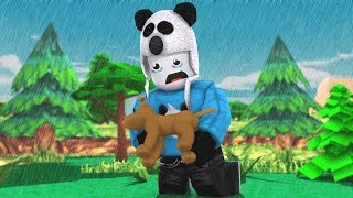 Heres How This Guy Got 30000000 Robux Roblox - 