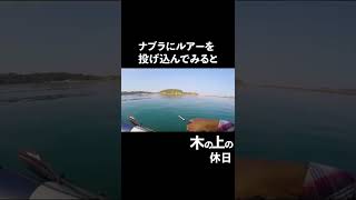 ナブラにルアーを投げ込むとどうなる？＃short