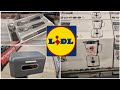 ARRIVAGE LIDL  - 11 NOVEMBRE 2024