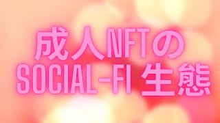 成人NFT？ Social-Fi 生態系統介紹｜鉅亨元宇宙｜Anue鉅亨