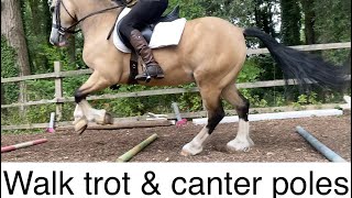 Walk trot and canter pole work distances in steps, polework | trot poles | horse tips