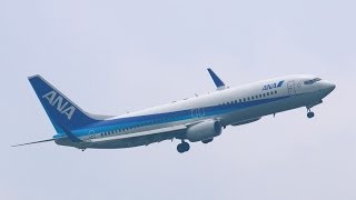 5年目の静岡空港　NH782サークリングアプローチ