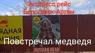 По пути в Владивосток встретил медведя🐻 Продолжаем наш экспресс💯