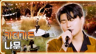 카더가든 - 나무 / KBS 20201110 방송 [하루한곡]