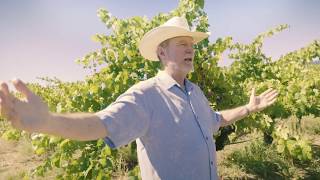 The Beginning of Zinfandel in California with Joel Peterson