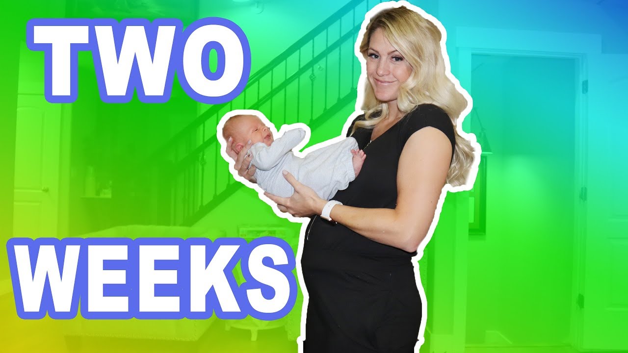 2 Weeks Postpartum Youtube