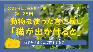 第125回「動物を使った言い回し～猫が出かけると」