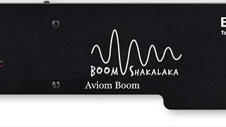 Aviom Boom