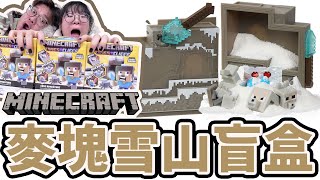 【開箱】驚喜滿滿! 大型麥塊雪山盲盒 [NyoNyoTV妞妞TV]