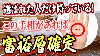 【開運 手相】選ばれた人だけが持っている!富裕層の手相!