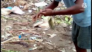 Jalebi Meen fishing || NAGAI FISHING MAN