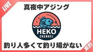 真夜中のアジング実釣ライブ配信中！