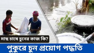 মাছ চাষে চুনের কাজ কি? I পুকুরে চুন প্রয়োগ পদ্ধতি I রাহেল এগ্রো ফার্ম এন্ড ফিসারিজ