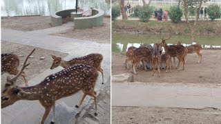 ছুটির দিনে একটু ঘোরাঘুরি। chuterdine goraguri.Traveling on holidays.