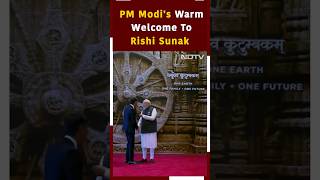 G20 Summit Delhi LIVE Updates: PM Modi, Rishi Sunak's Camaraderie At G20 Summit