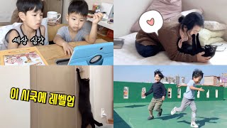 14년만의 귀국 후 첫 한국 일상은 코로나 집콕-아들 둘, 고양이 둘과 함께 한 집콕 Vlog