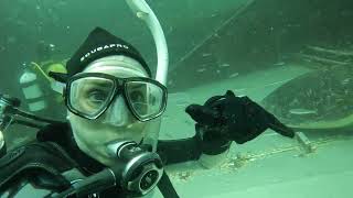 Scuba Diving HMAS Turbrook on Australia Day 2025 Dive 1