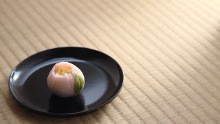 【山茶花】美しい和菓子ができるまで 三納寛之が和室で作る！／How Beautiful Japanese Sweets Are Made. Created by Hiroyuki Sanno.