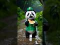 Panda the Forest Police eat a melon and fall #panda #forest #police #short #shorts #funny