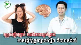 ខួរក្បាលស្ពឹកៗ ពិបាកចងចាំ ភ្លេចភ្លាំងច្រើន អាចមកពីកត្តាស្ត្រេស គេងមិនបានគ្រប់