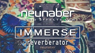 Neunaber | Immerse Reverberator | VIDEO REVIEW [NO TALK / ONLY TONES]