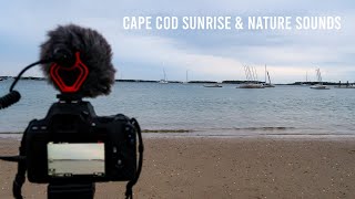 Cape Cod Sunrise & Nature Sounds - ASMR