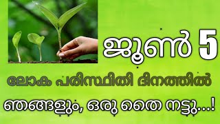 June 5 ലോക പരിസ്ഥിതി ദിനം..0038 shafeeque klari vlog