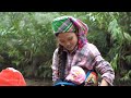 harvesting clams to sell taking care of the baby cooking nutritious porridge