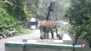 Elephant invade Coonoor Road for Jackfruit | Tamil Nadu | News7 Tamil |