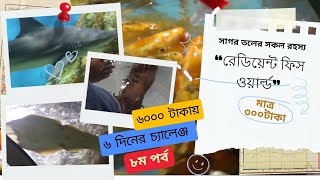 Radian fish world. রেডিয়েন্ট ফিশ ওয়ার্ল্ড। cox's bazar tour plan cost.