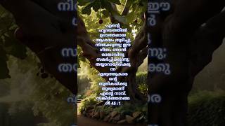 ദിവസവും ദൈവ വചനം ബൈബിൾ പഠിക്കാം #audiobible  #biblestudy #bibleverse #morningprayer #vachanam #daily