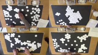 Understanding Concept Maps: A Closer Look at How People Organise Ideas