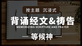 按主題背誦聖經+回应祷告 3.等候神 | 沉浸式背诵默想经文+回应祷告| 快速背誦經文 | 等候神，不至羞愧，从新得力，展翅上腾！#祷告 #灵修 #圣经朗读