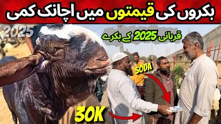 Bakra Qurbani 2025 New Rates Update | Goat Price 2025 | Karachi Bakra Mandi 2025 Latest Rates Update