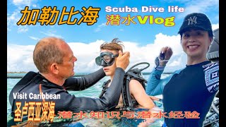 加勒比海潜水日记～Scuba Dive at Caribbean \u0026潜水小知识与经验分享\u0026圣卢西亚潜水去哪里\u0026加勒比海潜水的优点与简介\u0026潜水需要的准备#加勒比海海底世界