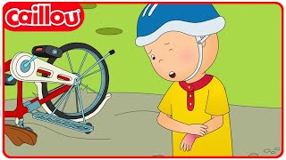 Caillou Breaks a Bone | Caillou's New Adventures | Season 4: Episode 7